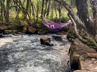 Foto 9 de Chacra de 12 hectareas en VENTA en OBERA