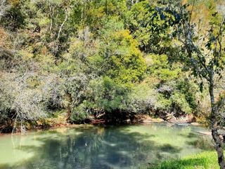 Foto 11 de Chacra de 12 hectareas en VENTA en OBERA