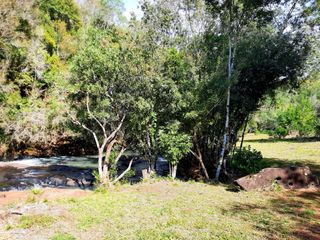 Foto 10 de Chacra de 12 hectareas en VENTA en OBERA