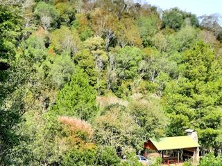 Foto 7 de Chacra de 12 hectareas en VENTA en OBERA