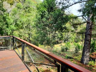 Foto 6 de Chacra de 12 hectareas en VENTA en OBERA