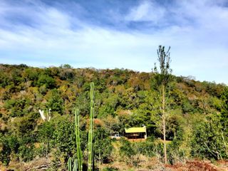 Foto 3 de Chacra de 12 hectareas en VENTA en OBERA