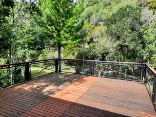 Foto 5 de Chacra de 12 hectareas en VENTA en OBERA