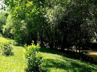 Foto 4 de Chacra de 12 hectareas en VENTA en OBERA