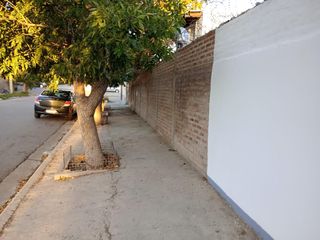 Foto 15 de Complejo de 6 departamentos de 1 dormitorio