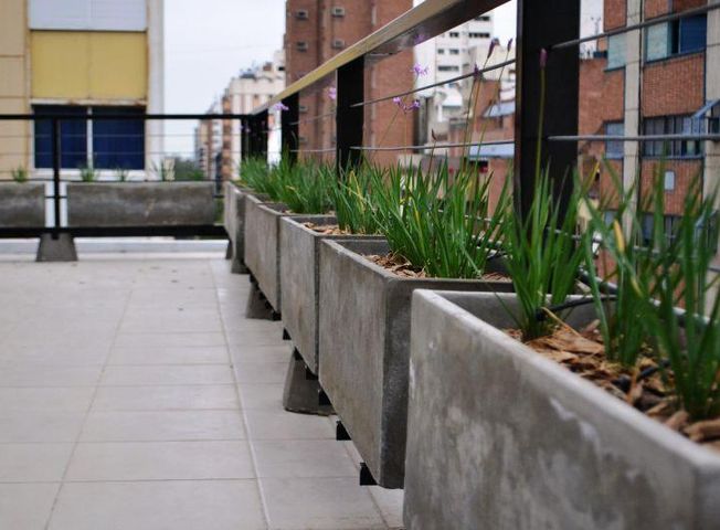 place photo 13