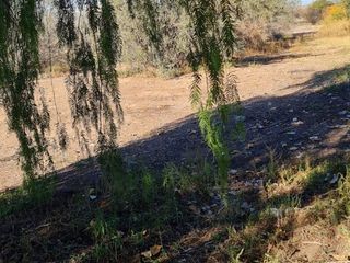 Foto 9 de LOTE EN VENTA EN RUTA 60, Russell, Maipú, Mendoza