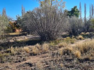Foto 3 de LOTE EN VENTA EN RUTA 60, Russell, Maipú, Mendoza