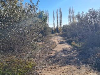 Foto 7 de LOTE EN VENTA EN RUTA 60, Russell, Maipú, Mendoza