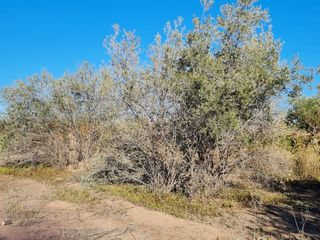 Foto 2 de LOTE EN VENTA EN RUTA 60, Russell, Maipú, Mendoza