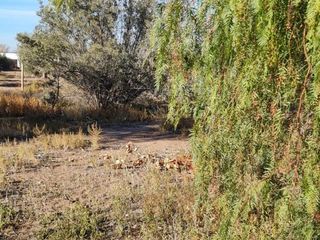 Foto 8 de LOTE EN VENTA EN RUTA 60, Russell, Maipú, Mendoza