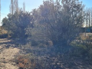 Foto 5 de LOTE EN VENTA EN RUTA 60, Russell, Maipú, Mendoza