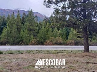 Foto 5 de Terreno a la vera de la ruta 40 a 3 km de El Bolson. Ideal inversion