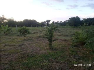 Foto 7 de VENDO LOTE EN LA VIA A TIERRALTA MOCHILA
