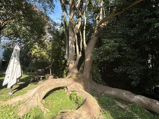 Foto 41 de Casa en