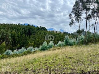 Foto 3 de TERRENO AGRICOLA EN VENTA TABACUNDO