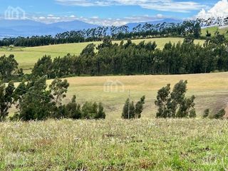 Foto 6 de TERRENO AGRICOLA EN VENTA TABACUNDO