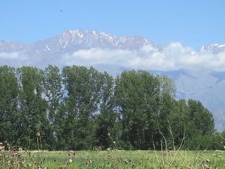 Foto 4 de Finca en Venta en El Cepillo Valle de Uco