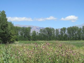 Foto 5 de Finca en Venta en El Cepillo Valle de Uco