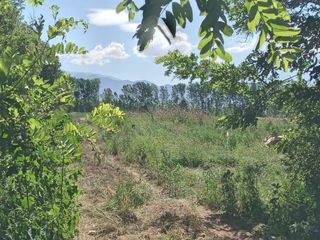 Foto 11 de Finca en Venta en El Cepillo Valle de Uco