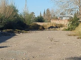 Foto 7 de VENTA LOTE EN LAS HERAS