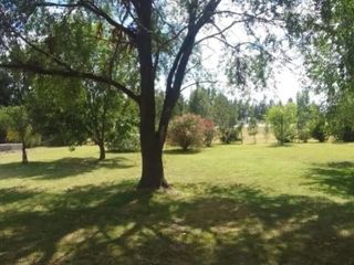 Foto 6 de Casa en alquiler - 5 Dormitorios 5 Baños - Chascomus