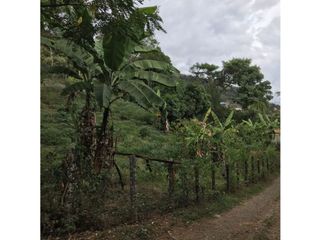 Foto 26 de FINCA EN VENTA EN EL CASTILLO SANTA ELENA EL CERRITO