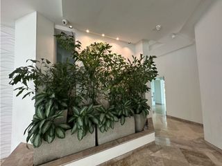 Foto 26 de AMPLIOS Y ELEGANTES  ESPACIOS EN APARTAMENTO EN BARRIO EL GOLF