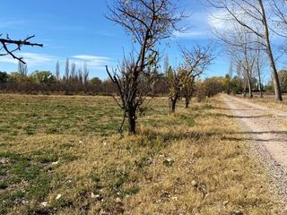 Foto 4 de PROPIEDAD A LA VENTA SOBRE CALLE CUBILLOS, RAMA CAÍDA