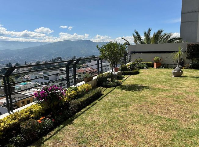 place photo 41