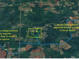Foto 5 de SE VENDE 60HA DE COLONIA ROCA  CON PINO