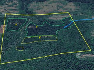 Foto 2 de SE VENDE 60HA DE COLONIA ROCA  CON PINO