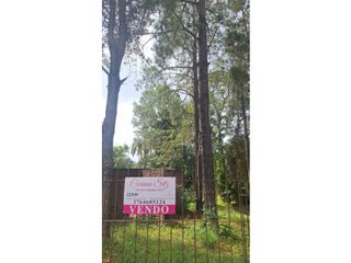 Foto 6 de Terreno en Venta en Iguazú