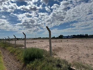 Foto 4 de ALQUILER 3 HECTAREAS - PEGADO ACCESO ESTE
