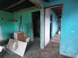 Foto 35 de Alquiler de Campo de 11 hectáreas en El Casal