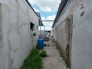 Foto 9 de Alquiler de Campo de 11 hectáreas en El Casal