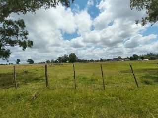 Foto 4 de Alquiler de Campo de 11 hectáreas en El Casal