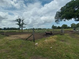 Foto 8 de Alquiler de Campo de 11 hectáreas en El Casal