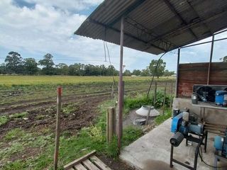 Foto 18 de Alquiler de Campo de 11 hectáreas en El Casal