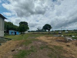 Foto 19 de Alquiler de Campo de 11 hectáreas en El Casal