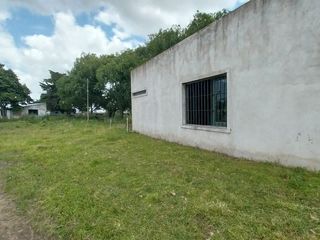 Foto 5 de Alquiler de Campo de 11 hectáreas en El Casal