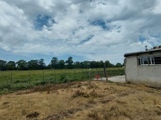 Foto 20 de Alquiler de Campo de 11 hectáreas en El Casal