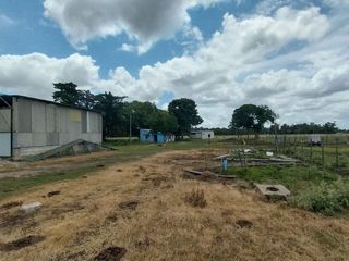 Foto 10 de Alquiler de Campo de 11 hectáreas en El Casal