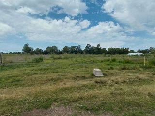 Foto 7 de Alquiler de Campo de 11 hectáreas en El Casal