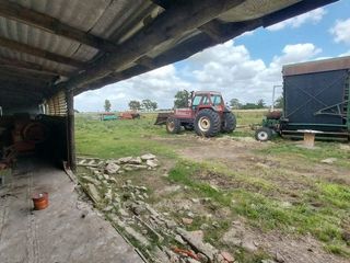 Foto 30 de Alquiler de Campo de 11 hectáreas en El Casal