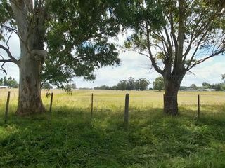 Foto 2 de Alquiler de Campo de 11 hectáreas en El Casal