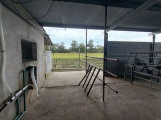 Foto 15 de Alquiler de Campo de 11 hectáreas en El Casal