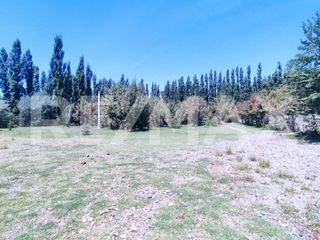 Foto 3 de ALQUILER PARCELA DE 7000MTS NEUQUEN