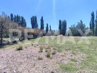 Foto 2 de ALQUILER PARCELA DE 7000MTS NEUQUEN