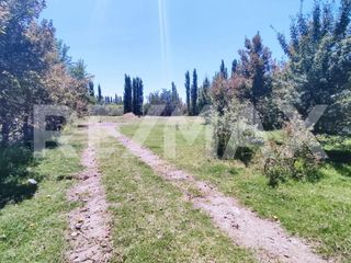 Foto 1 de ALQUILER PARCELA DE 7000MTS NEUQUEN